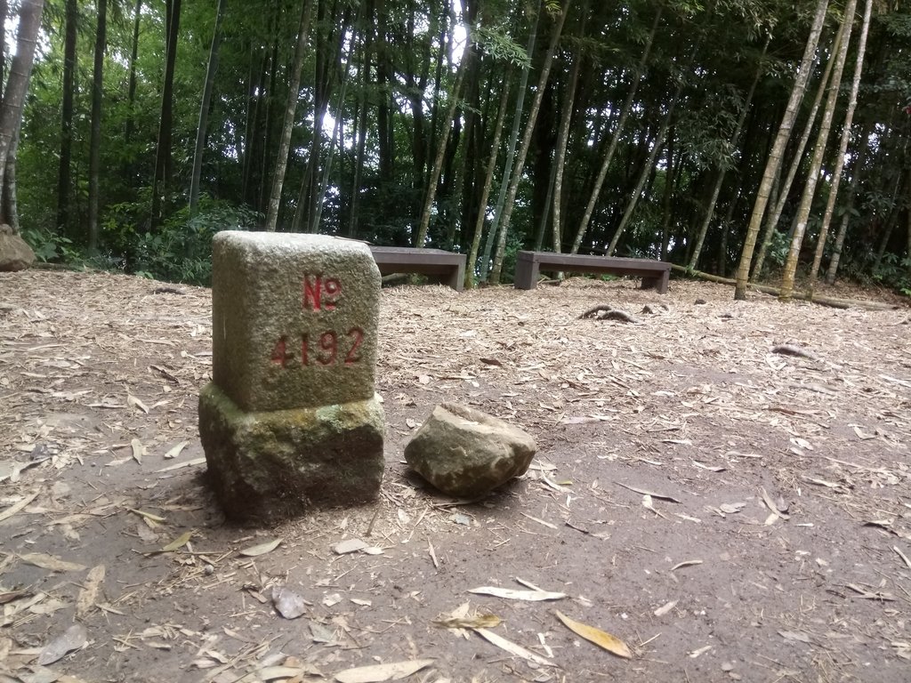 DSC_1254.JPG - 石壁山  嘉南雲峰步道