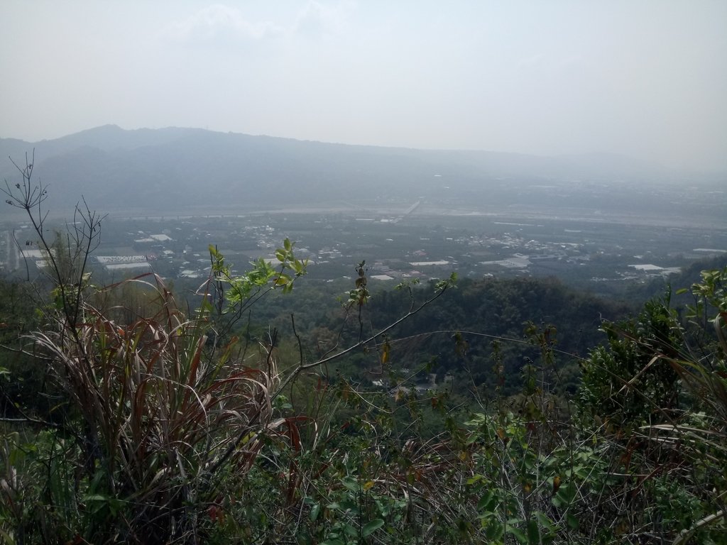 DSC_7310.JPG - 草屯平林  九九峰森林步道