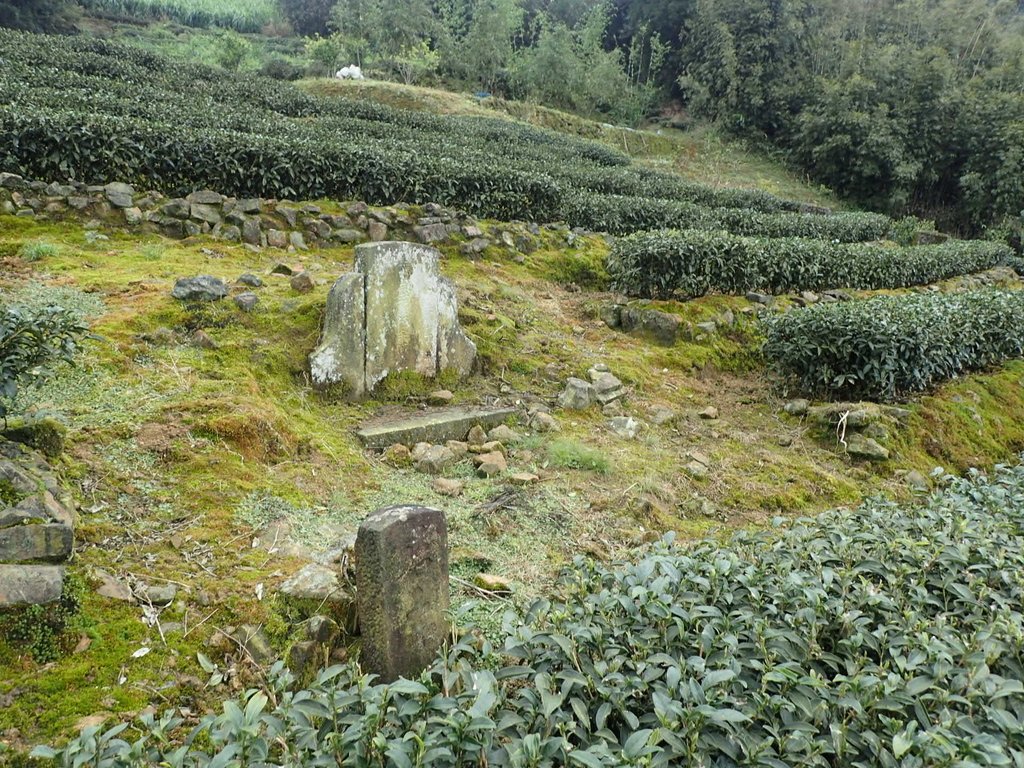 P3170464.JPG - 坪林  大湖尾  陳德宗墓