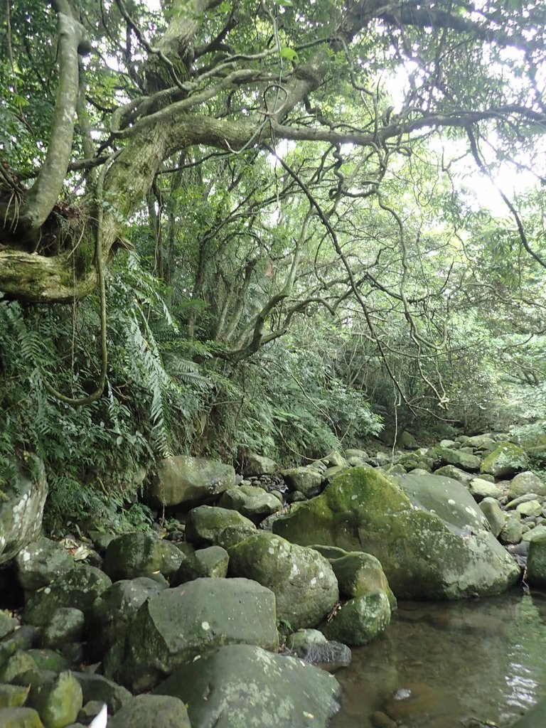 P6114253.JPG - 三芝  三板橋