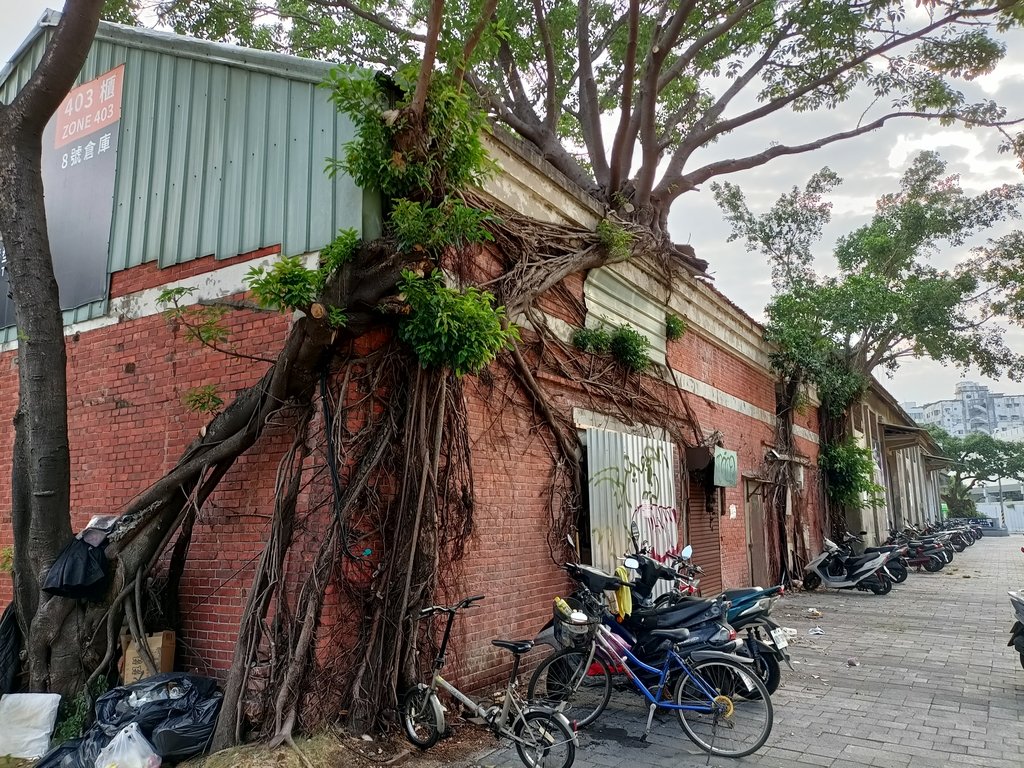 IMG20210426071728.jpg - 台中  街路隨拍  (39)