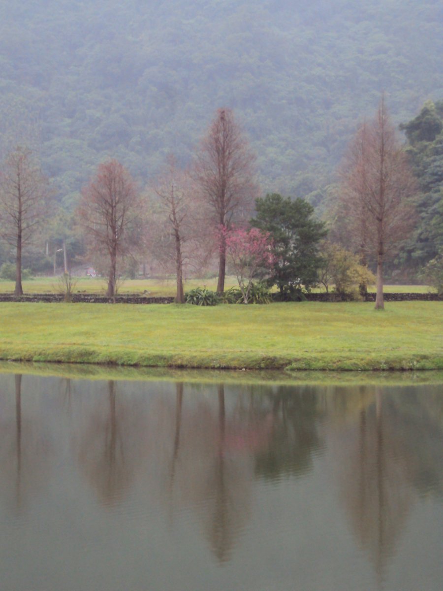 DSC02596.JPG - 外員山  蜊仔埤