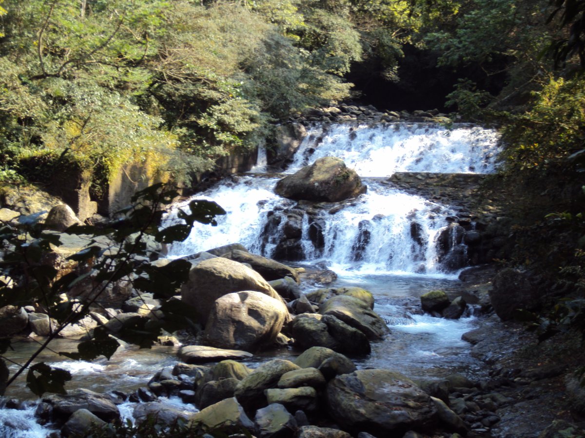 DSC04447.JPG - 三峽  滿月圓遊樂區