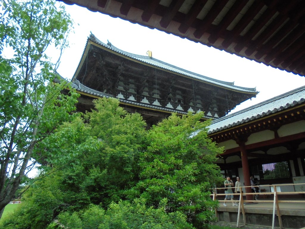 DSC03879.JPG - 奈良  東大寺