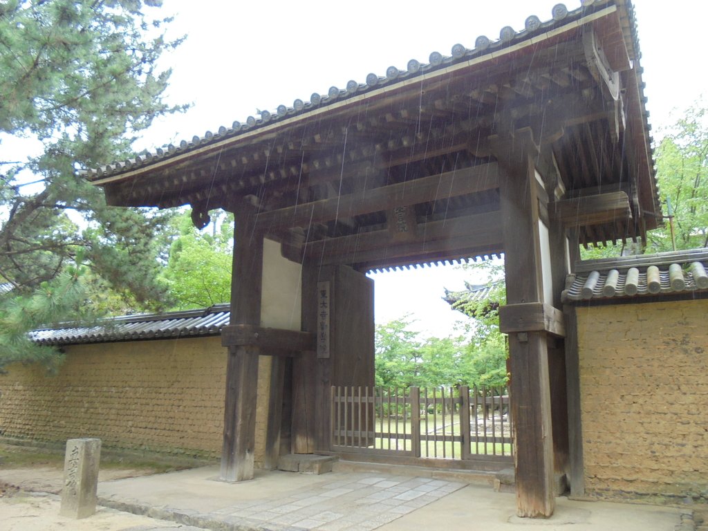 DSC03889.JPG - 奈良  東大寺