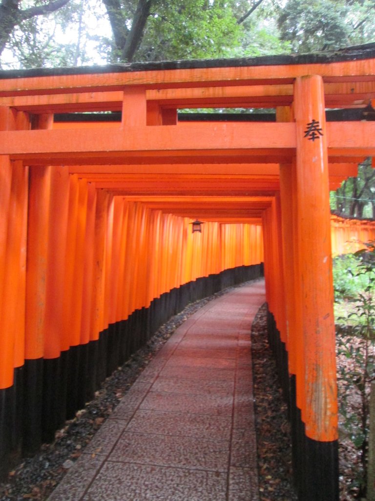 IMG_3691.JPG - 伏見稻荷神社  千本鳥居