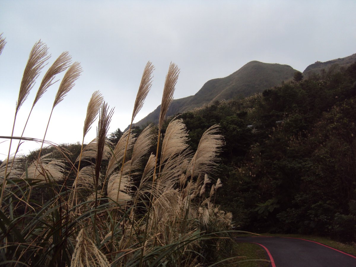 DSC03260.JPG - 無耳茶壺山產業道路