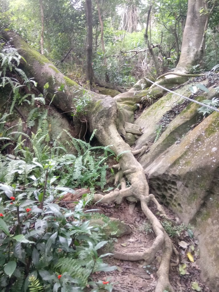 DSC_2317.JPG - 大直圓山風景區  劍潭山