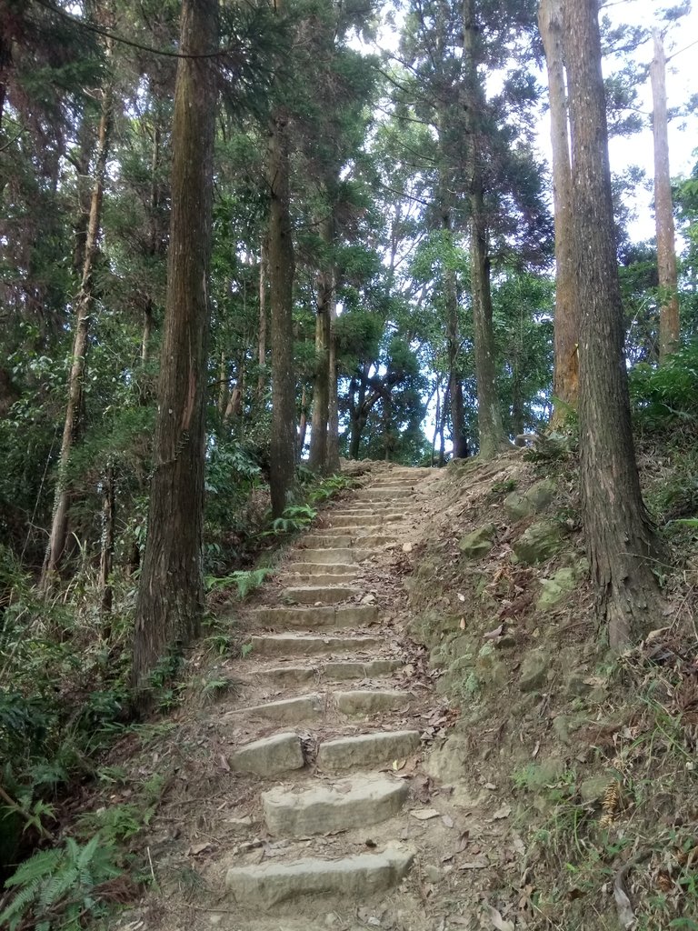 DSC_4766.JPG - 獅潭  仙山