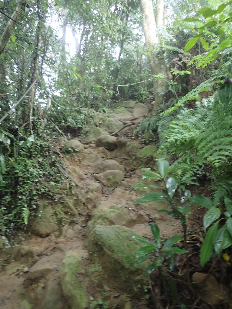 P2107511.JPG - 大溪  溪洲山登山步道