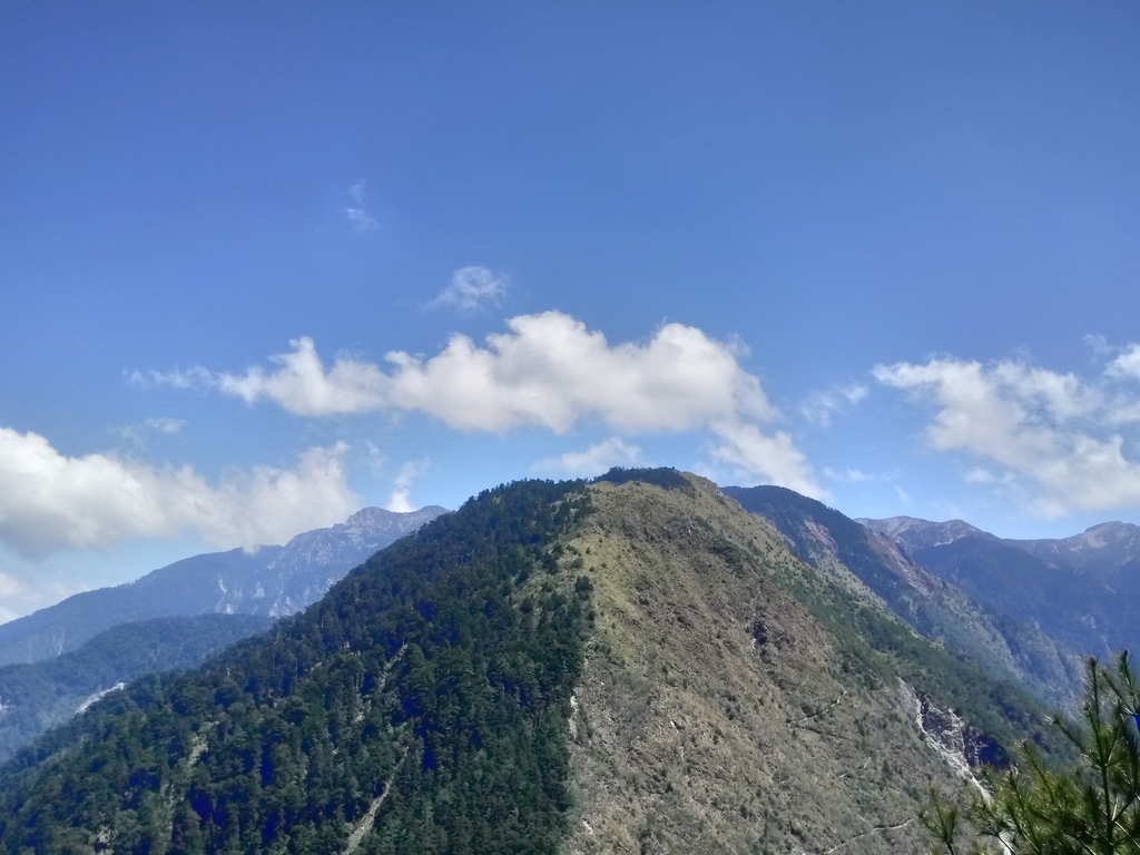 DSC_1716.JPG - 鹿林山  麟趾山步道  (02)