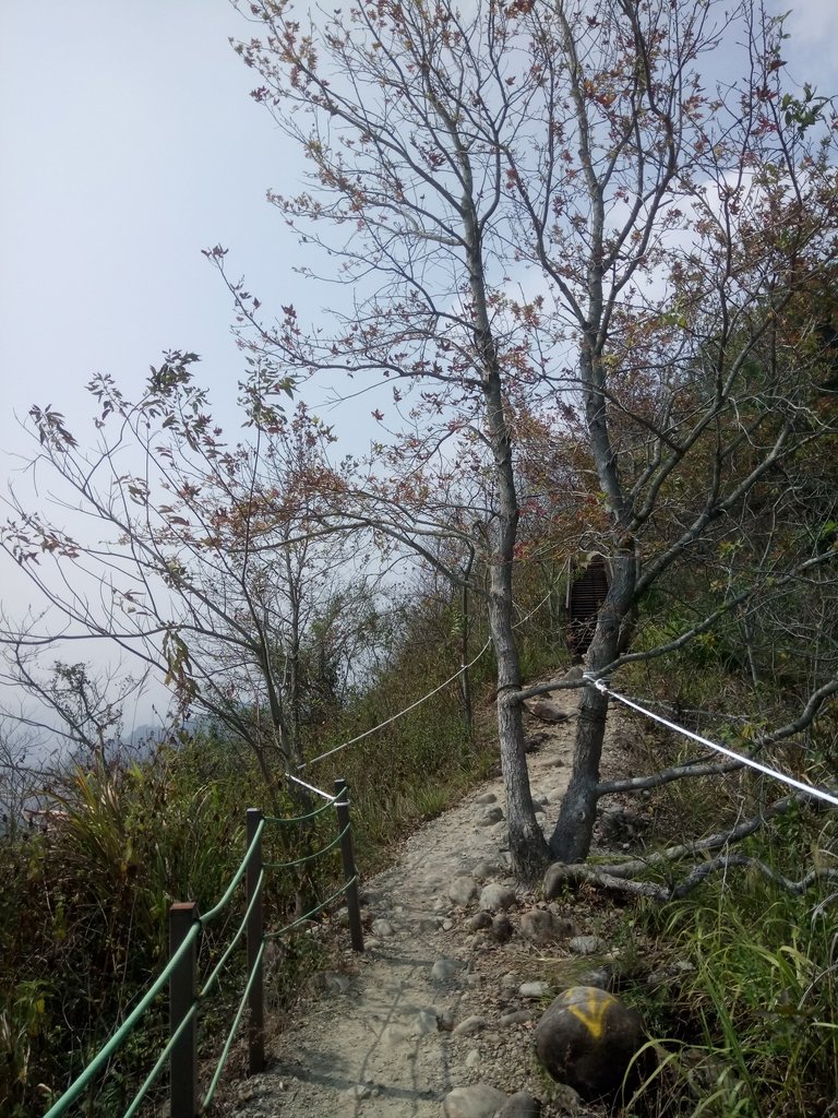 DSC_7319.JPG - 草屯平林  九九峰森林步道