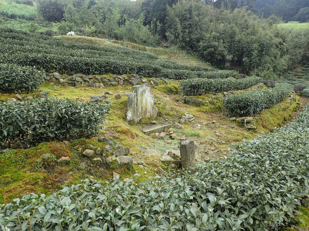 P3170460.JPG - 坪林  大湖尾  陳德宗墓