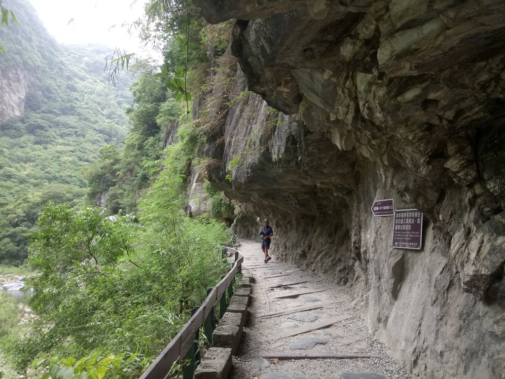 DSC_0968.JPG - 花蓮  太魯閣  小錐麓步道