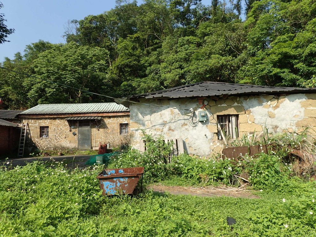 P5132825.JPG - 平溪  白石腳  菁桐坑遺跡