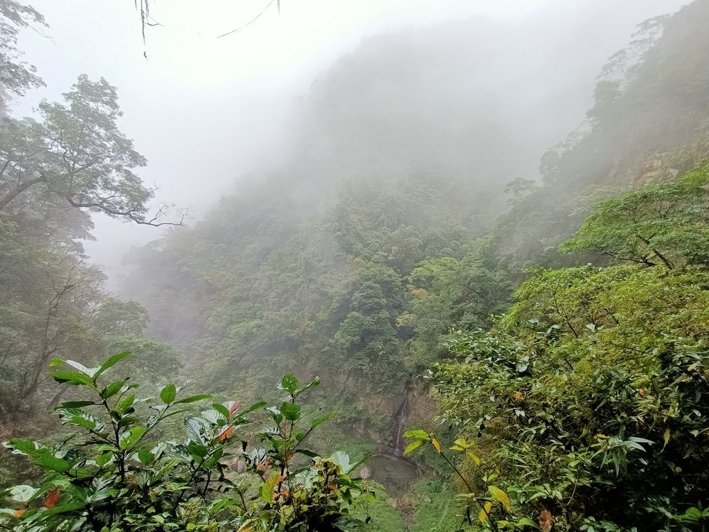 IMG20210108124032.jpg - 梅山  瑞峰村  竹坑溪步道