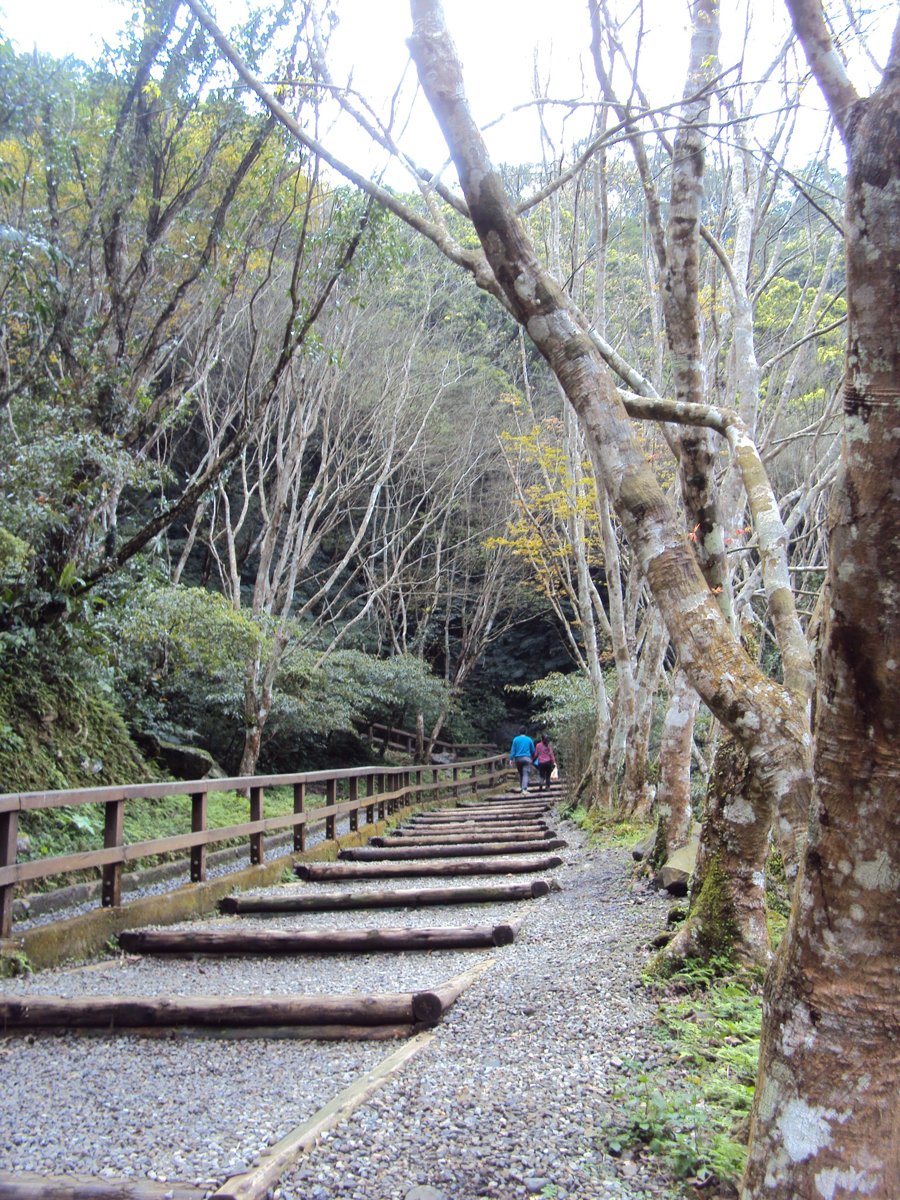 DSC04453.JPG - 三峽  滿月圓遊樂區