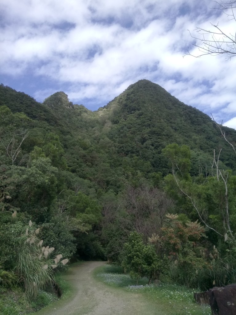 DSC_9001.JPG - 復興  東滿步道