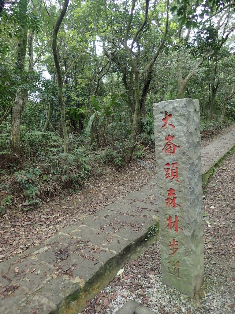 P2288686.JPG - 內湖  大崙頭山