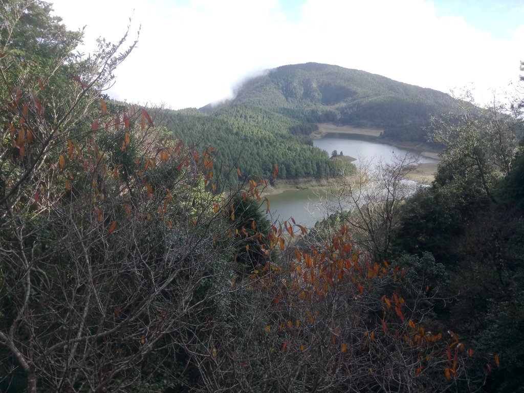 DSC_0105.JPG - 太平山  翠峰湖環山步道  01