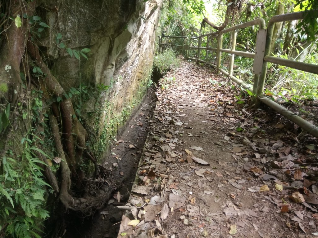 DSC_0575.JPG - 鹿谷  長源圳古道
