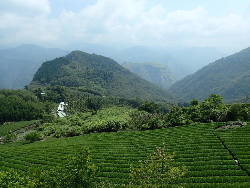 P3257871.JPG - 阿里山  隙頂  飲山郁茶館