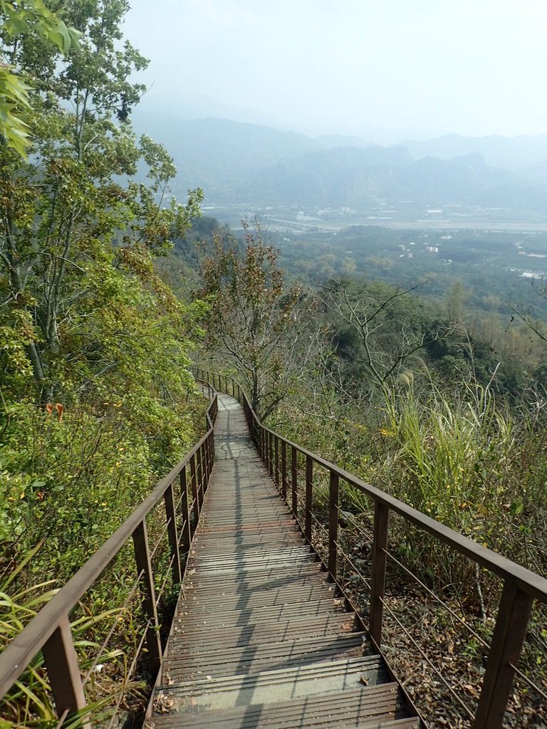 P3016077.JPG - 草屯平林  九九峰森林步道