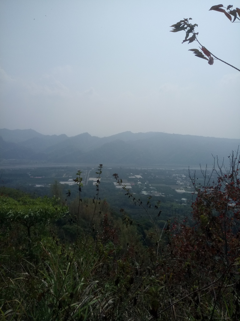 DSC_7322.JPG - 草屯平林  九九峰森林步道