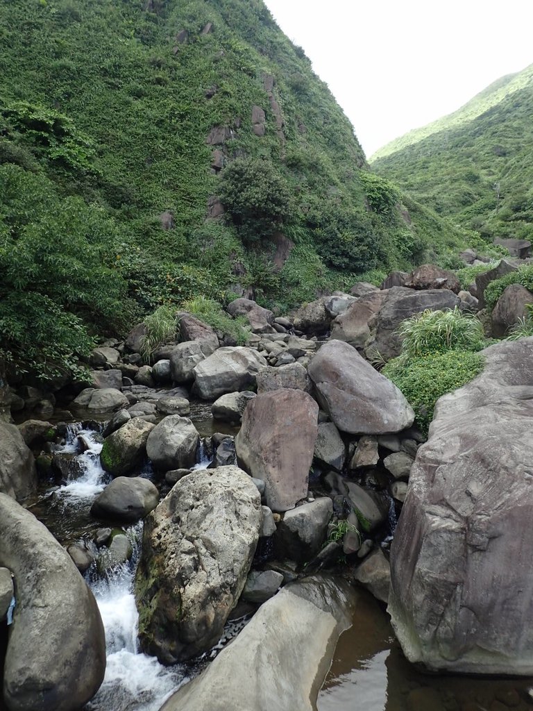 P8317612.JPG - 瑞芳  雷霆岩下之  溪谷風情