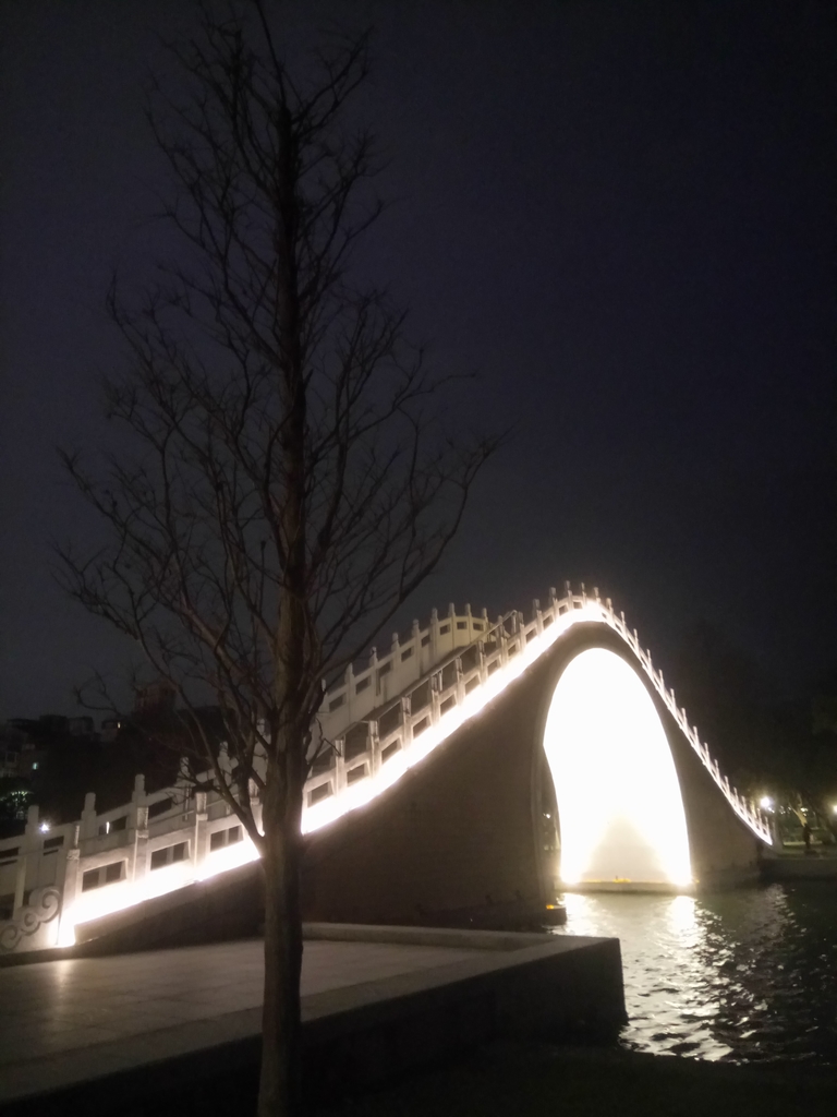 DSC_9307.JPG - 內湖  大湖公園之夜色