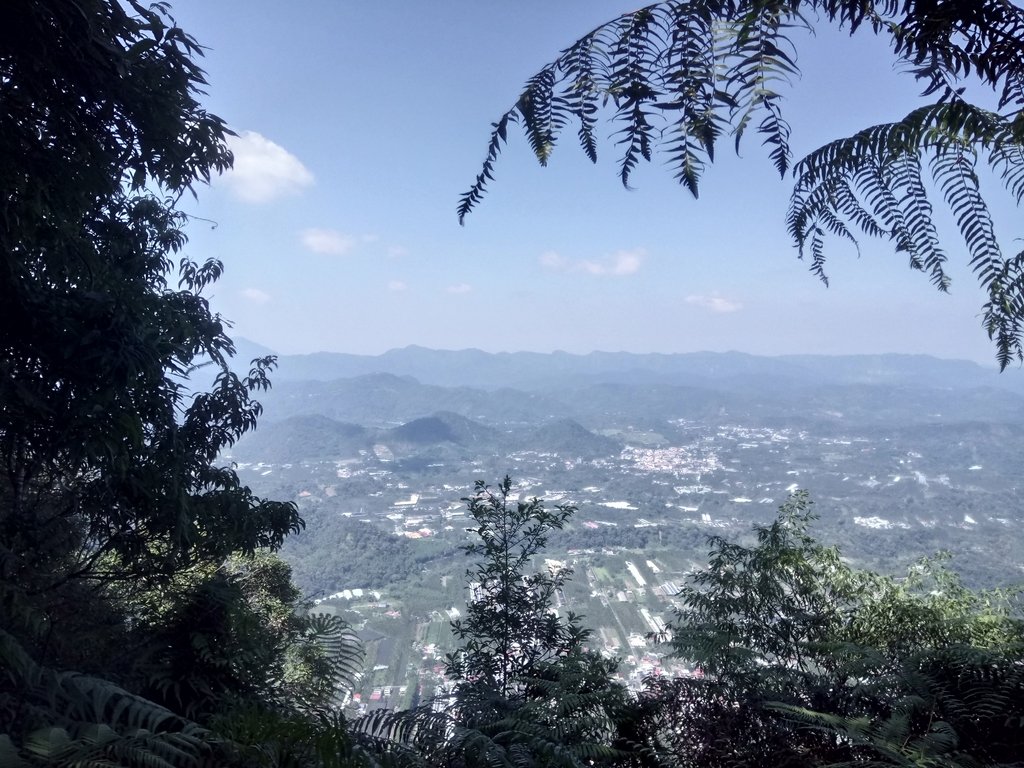 DSC_4039.JPG - 魚池  過坑山登山步道