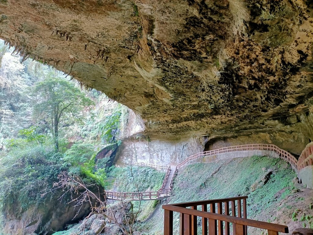 IMG20210205123023.jpg - 竹山  杉林溪森林遊樂園  路過