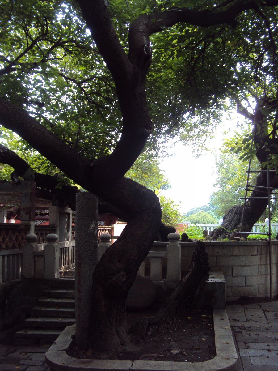 DSC09827.JPG - 泉州  開元寺