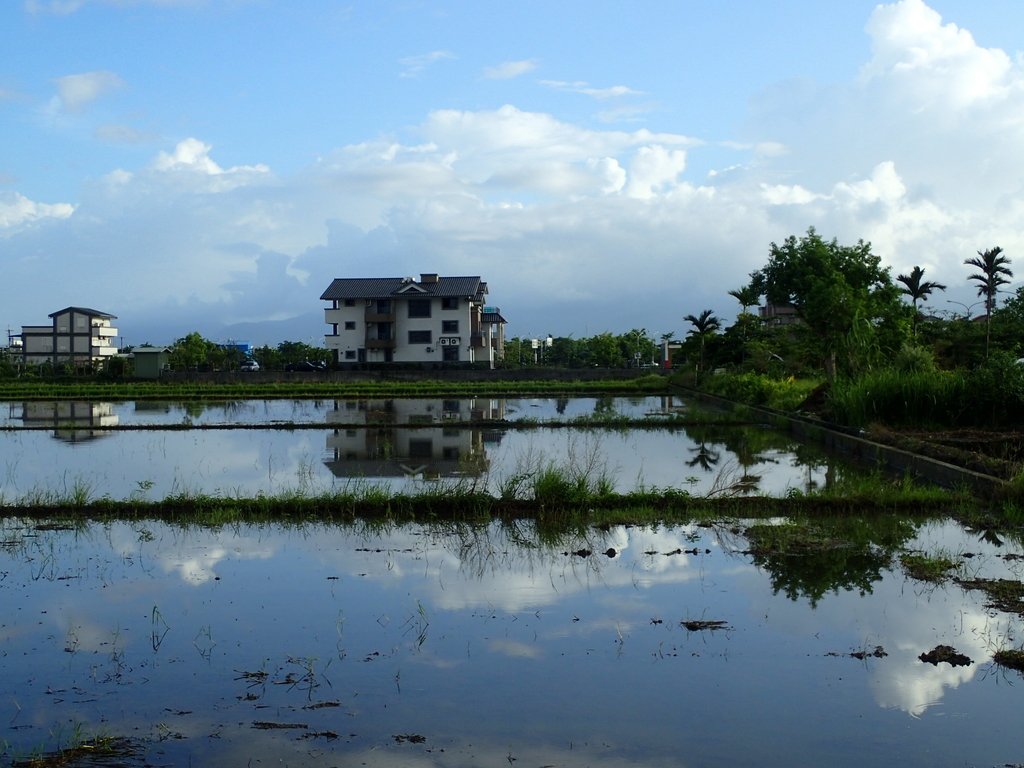 PA104180.JPG - 壯圍  竹安  水田雲影