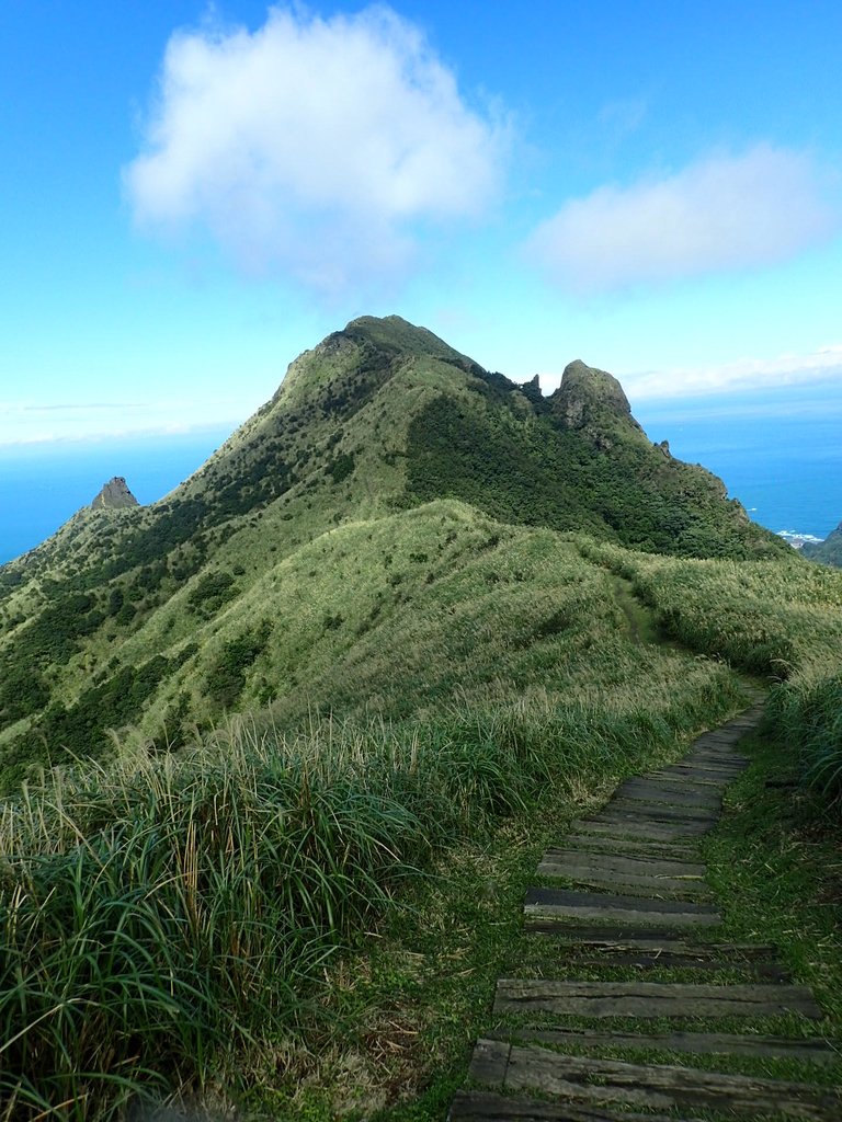 P1102317.JPG - 半坪山  無耳茶壺山