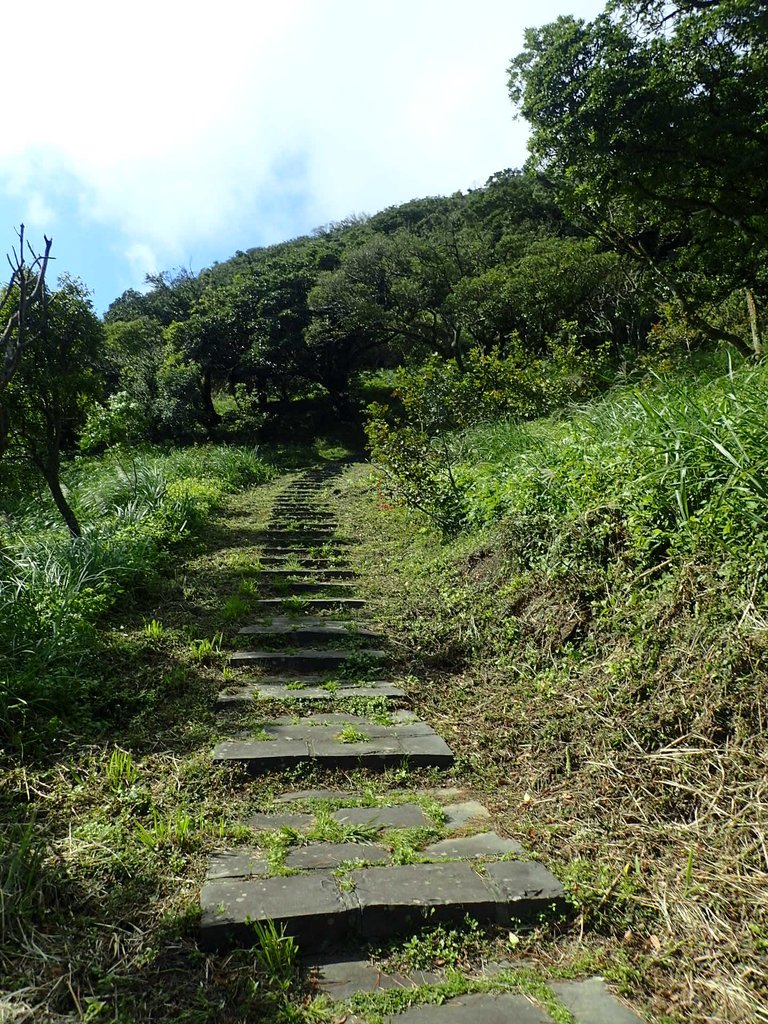 PB247193.JPG - 北投  中正山登山步道  02