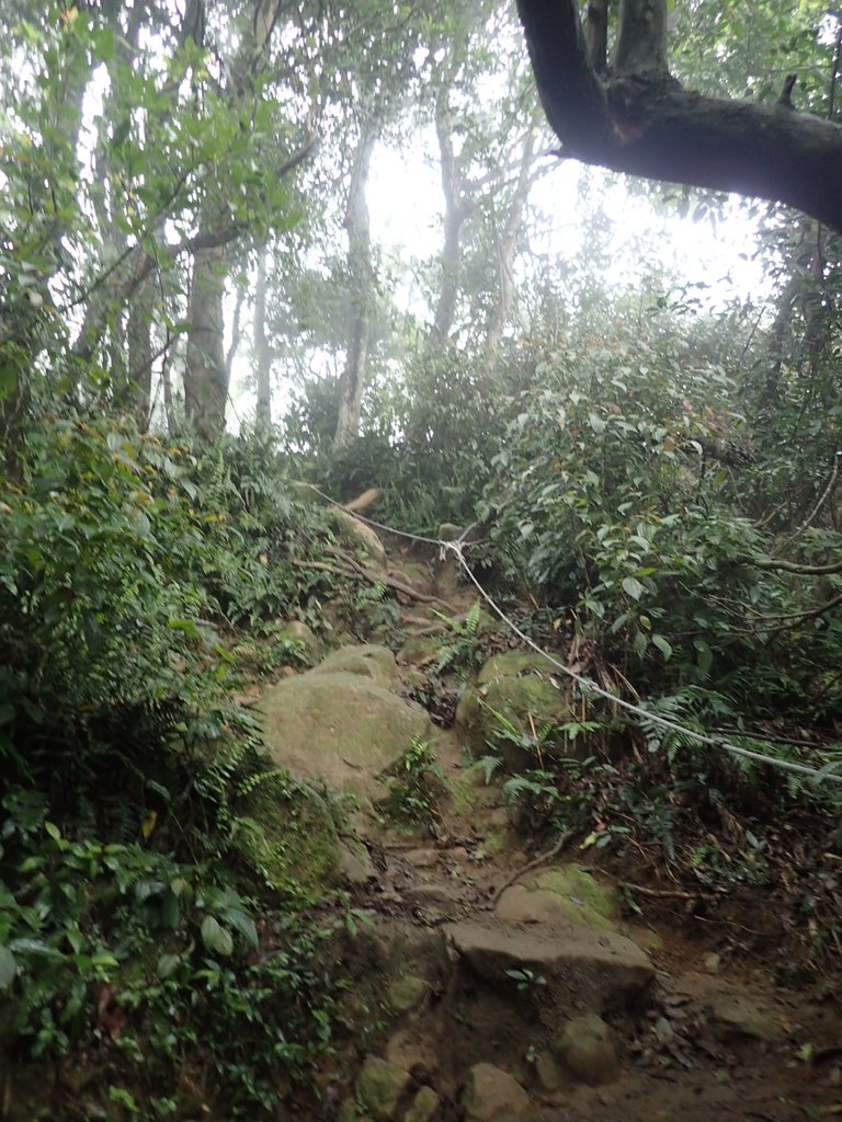 P2107514.JPG - 大溪  溪洲山登山步道