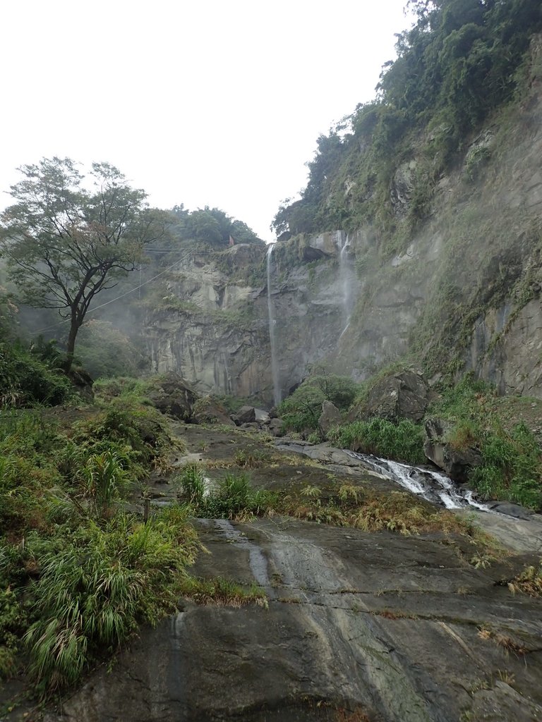 PA231569.JPG - 草嶺  蓬萊瀑布步道