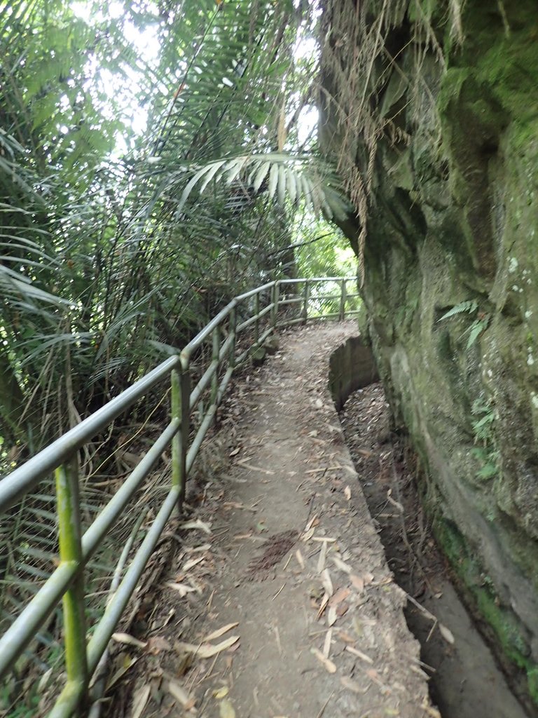 PA171288.JPG - 鹿谷  長源圳古道