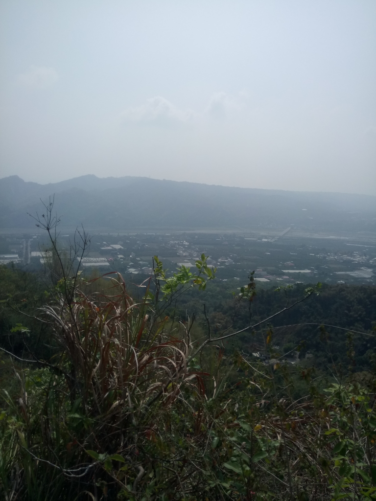 DSC_7313.JPG - 草屯平林  九九峰森林步道