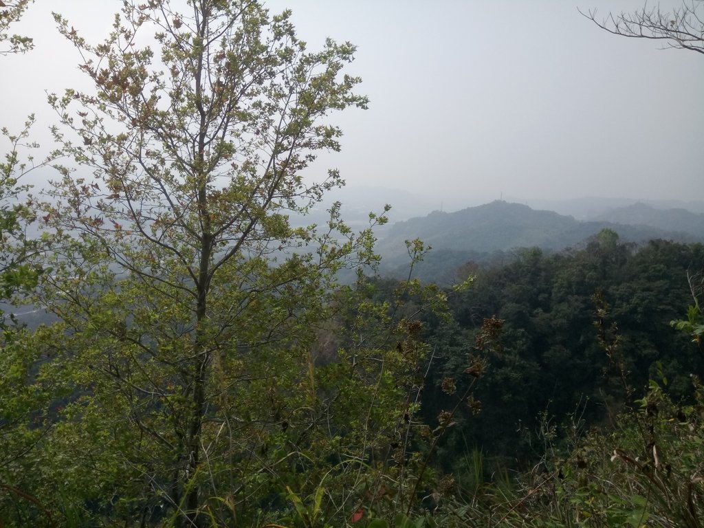 DSC_7347.JPG - 草屯平林  九九峰森林步道