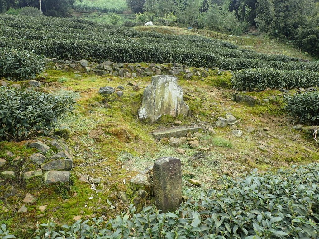 坪林  大湖尾  陳德宗墓