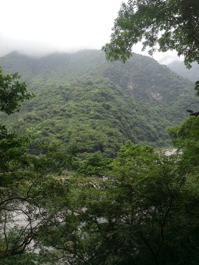 DSC_0974.JPG - 花蓮  太魯閣  小錐麓步道