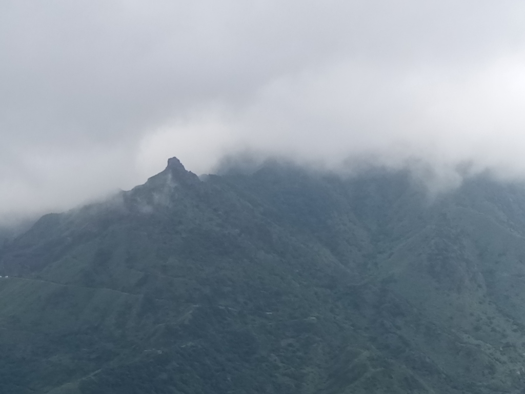 DSC_9433.JPG - 瑞芳  雞籠山登山步道