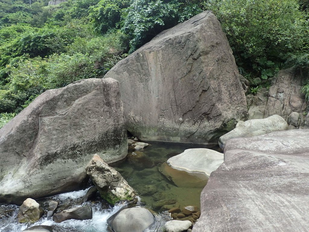 P8317625.JPG - 瑞芳  雷霆岩下之  溪谷風情