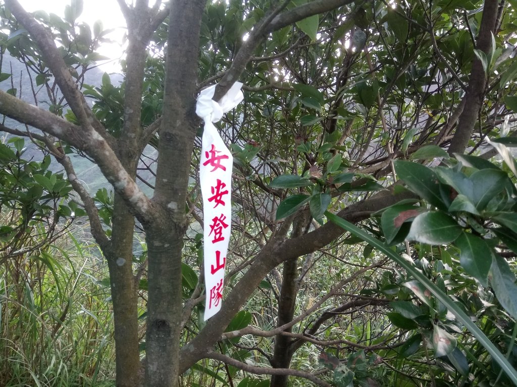 DSC_2404.JPG - 初春  登瑞芳  南子吝山