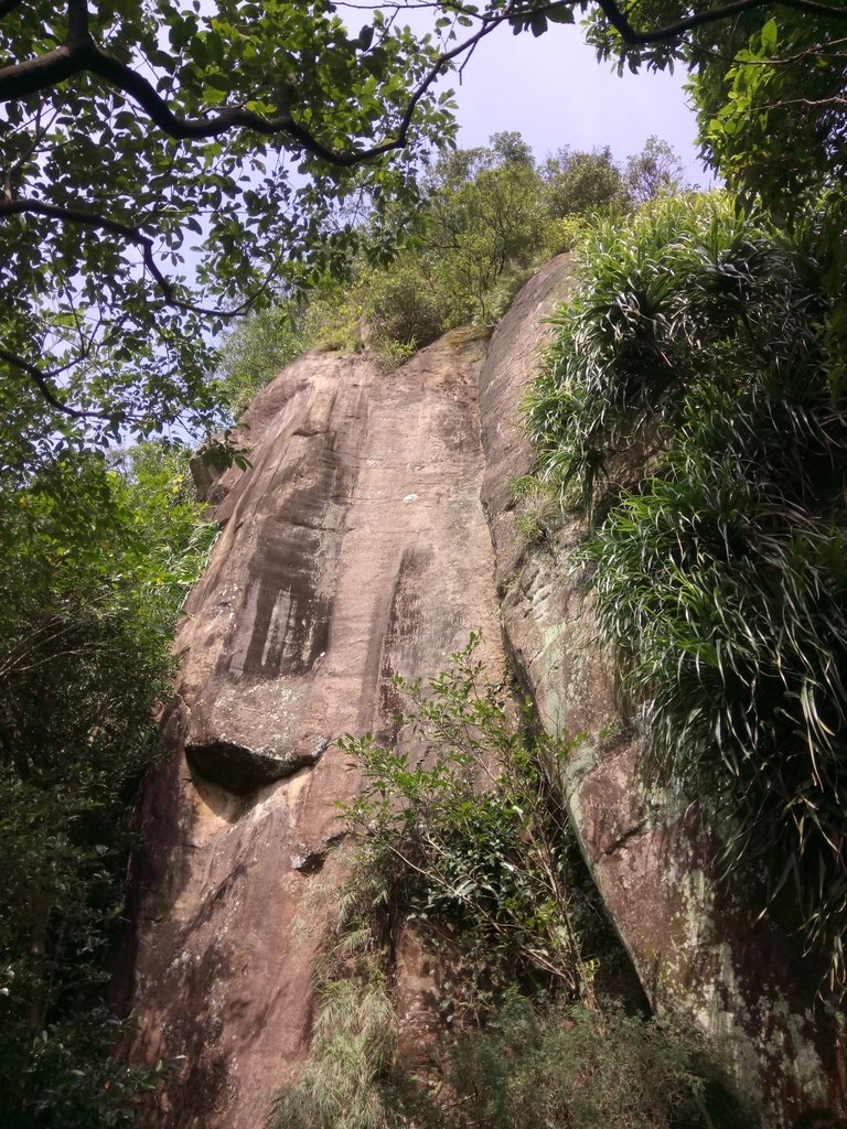 DSC_5273.JPG - 瑞芳  白象山(弘明山) 未竟