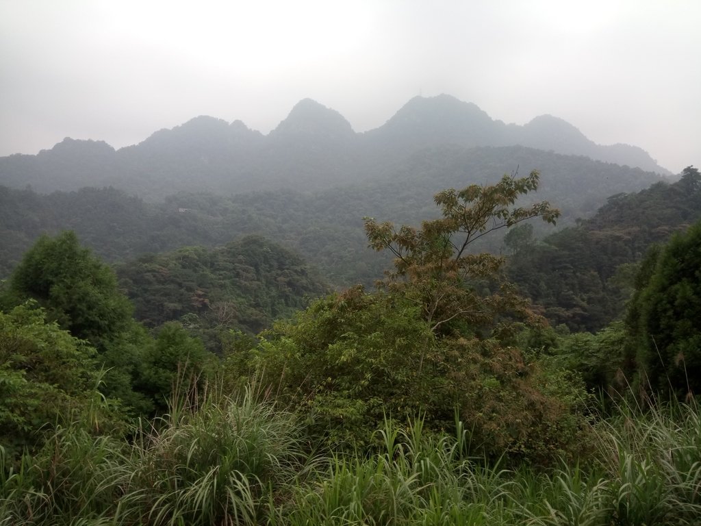 DSC_1076.JPG - 新竹  五指山登山步道