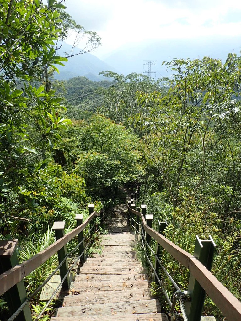 P9017429.JPG - 魚池  頭社  後尖山步道