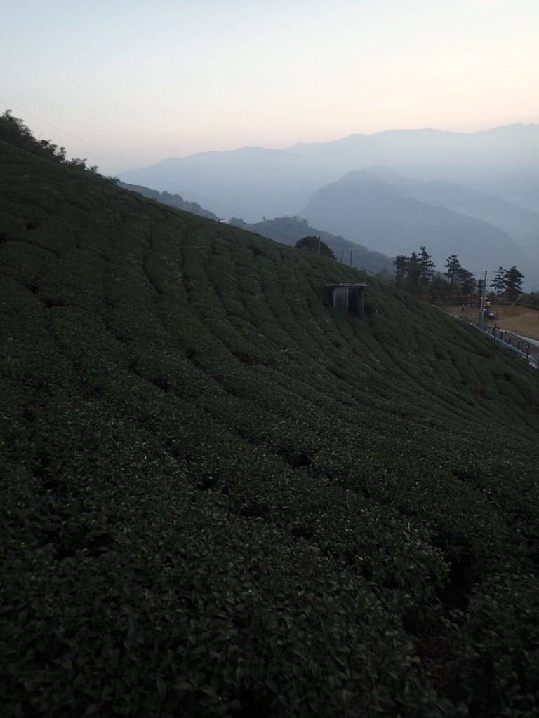 P1306576.JPG - 雲嘉  大尖山  二尖山步道